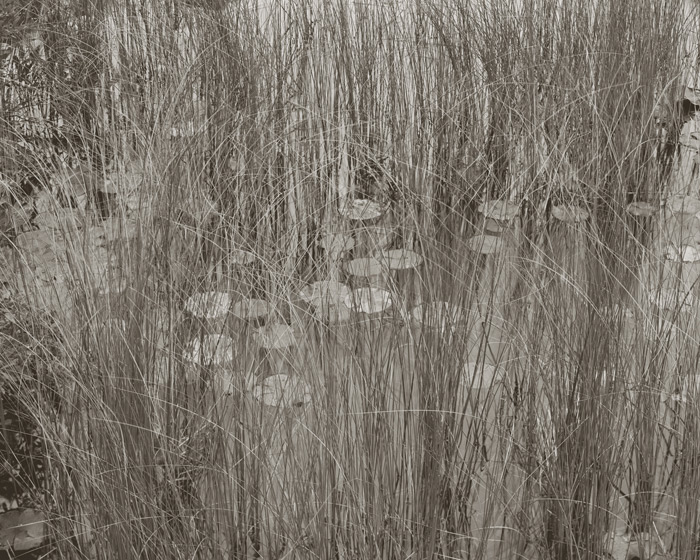 "See Through," 2011, by Koichiro Kurita, Courtesy Ille Arts