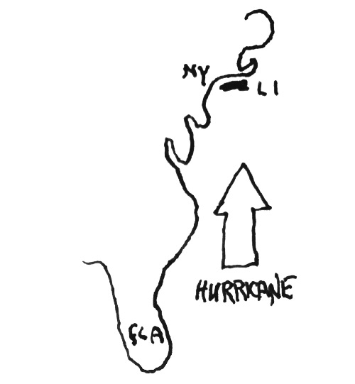 Dan Hurricane Cartoon Chart