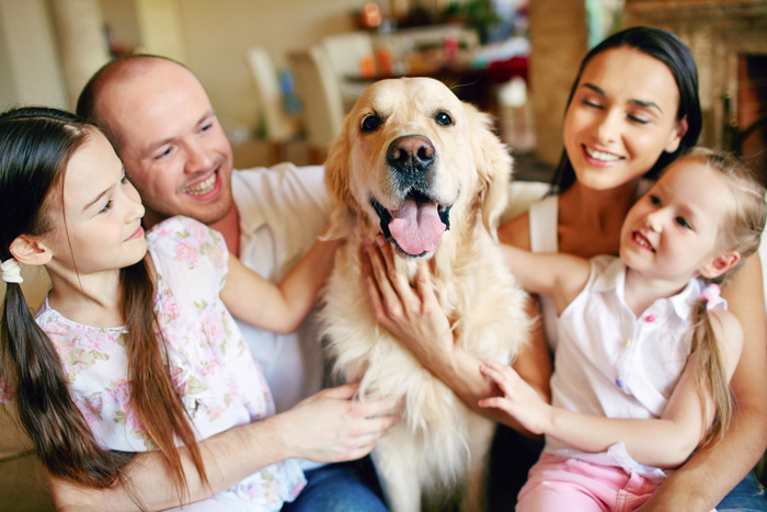 National Love Your Pet Day, Photo: Dmitriy Shironosov/123RF