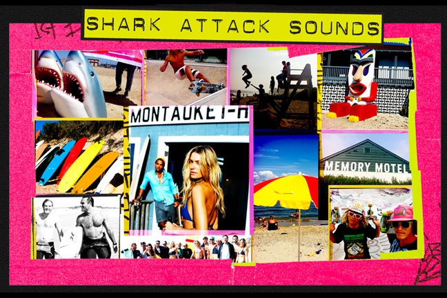 Shark Attack Sounds collage