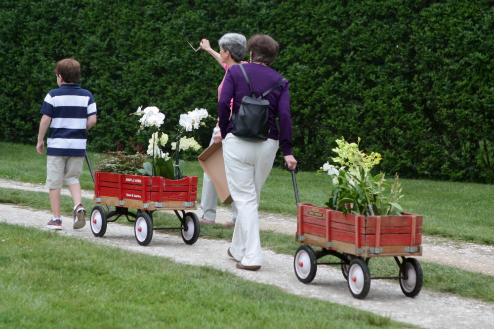 East Hampton Garden Club's Memorial Day Garden Party