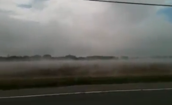 Mist Off Of A Potato Farm In The Hamptons