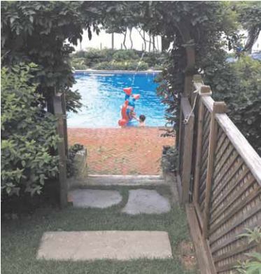 A Hamptons pool, Photo: Dan Rattiner