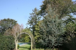 Blue Atlas Salt Injury