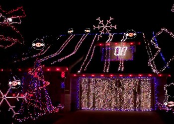 angry-birds-christmas-lights