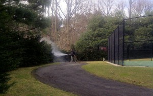 North Hempstead Winter Plant Protection