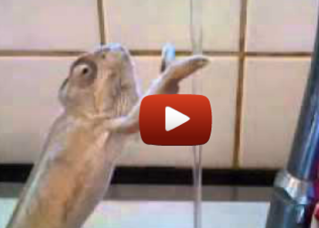 Screen Shot 2012-09-20 at 7.14.00 PM