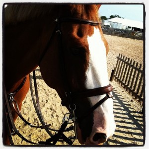 e3358b60f53b11e1b0f022000a1de67b_7