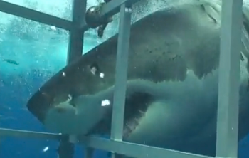 Screen Shot 2012-10-22 at 11.17.38 AM