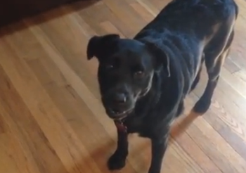 Screen Shot 2012-10-25 at 3.51.12 PM