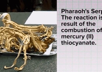 Science is Awesome video still for Daily Viral