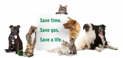 Save time.save gas. save a life copy