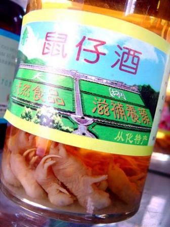 baby mice wine baby mice wine