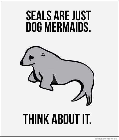 dog mermaids