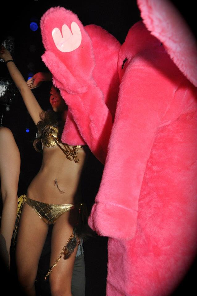 Pink Elephant and Dancer Pink Elephant and Dancer