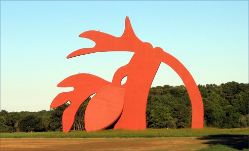 Stargazer manorville