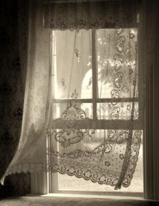 Helen Lind English Ivy Interiors Lace