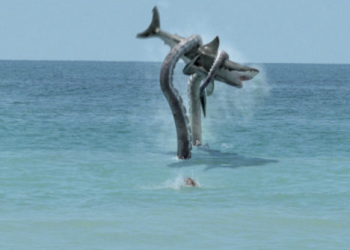 Sharktopus!