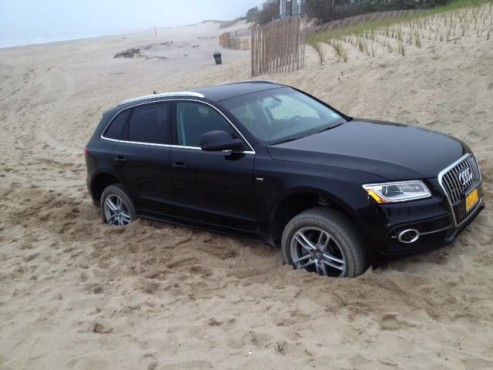 East Hampton Idiot Spotter AUDI