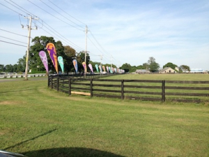 AFTEE Nile Rodgers Concert Prep