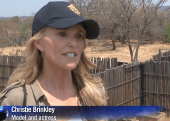 Screen Shot 2013-09-20 at 12.39.25 PM