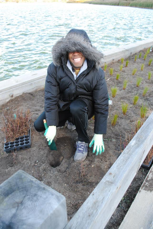 Planting seagrass at Lake Agawam. Photo credit: Paul Degrocco