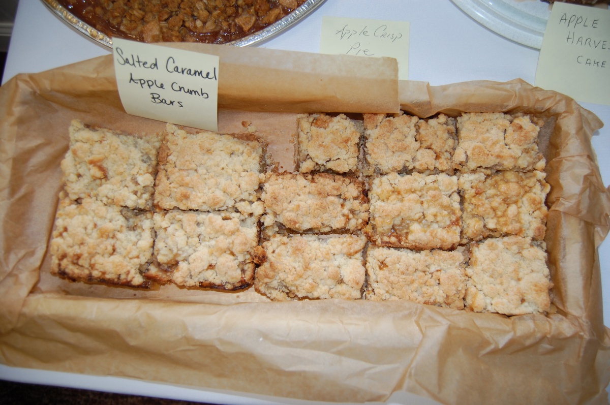 Salted caramel apple crisp bars