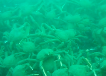 Screen Shot 2013-10-09 at 3.56.46 PM