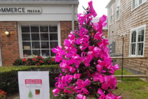 The pink tree on Southampton Main Street, Photo: David Taylor