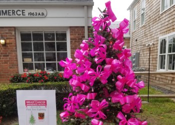 The pink tree on Southampton Main Street, Photo: David Taylor