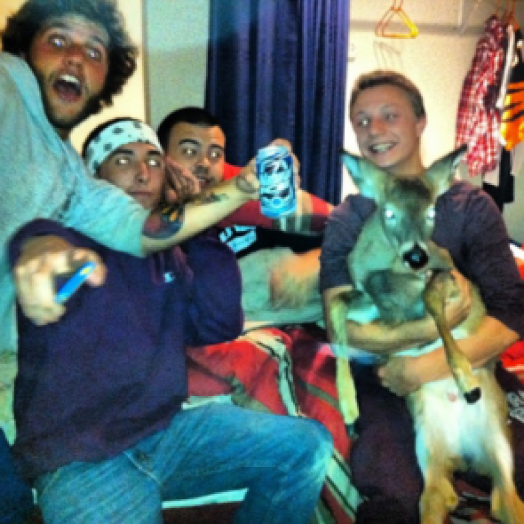 Men received citations after this photo was brought to the attention of the DEC.