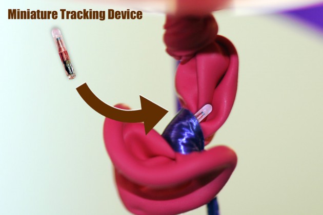 Balloon Tracking Device