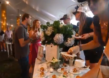 taste of two forks dan's papers video