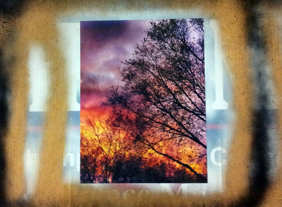 Detail of painted Frank Zappone campaign sign.