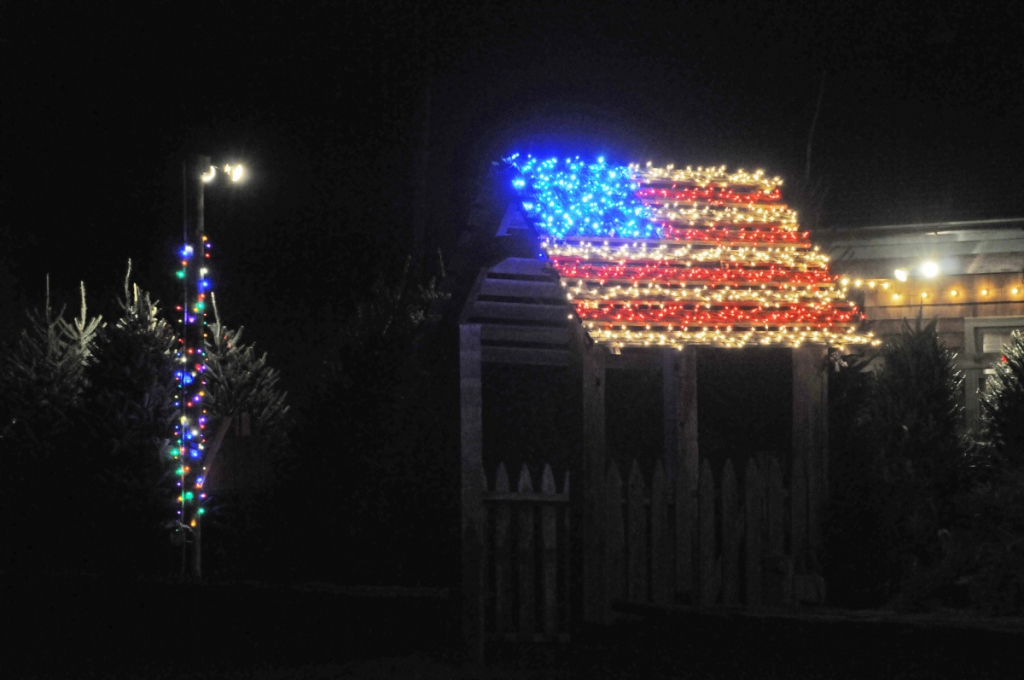 The decoration at Fort Pond Native Plants had a patriotic theme, and won Special Mention