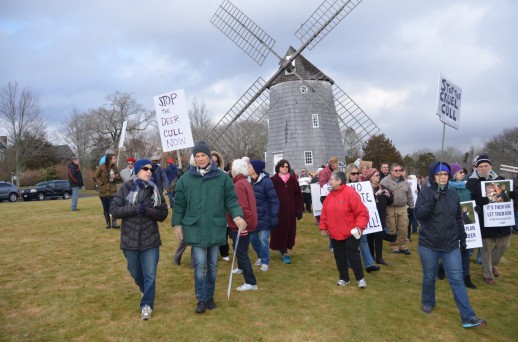 Stop the Cull Rally in East Hampton