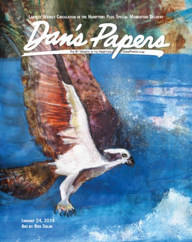 Rita Sklar Dan's Papers Cover