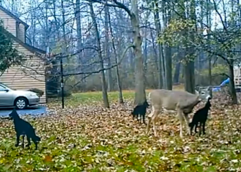 Screen Shot 2014-01-15 at 12.06.38 PM