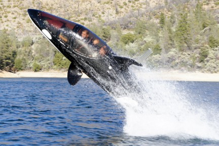 Seabreacher gets some air