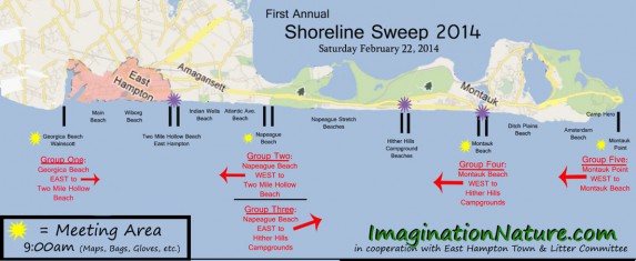 shoreline sweep 2014