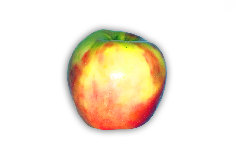 Honeycrisp Apple
