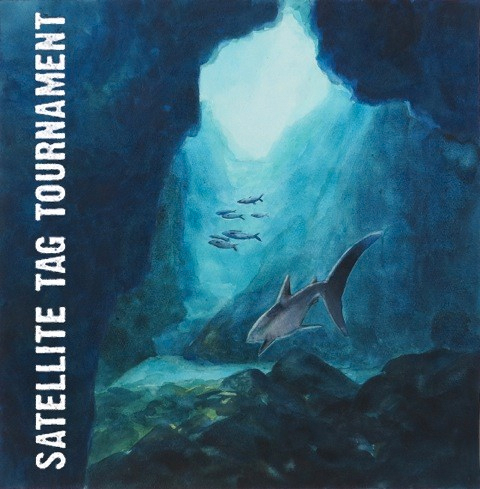 Shark tournament poster by April Gornik