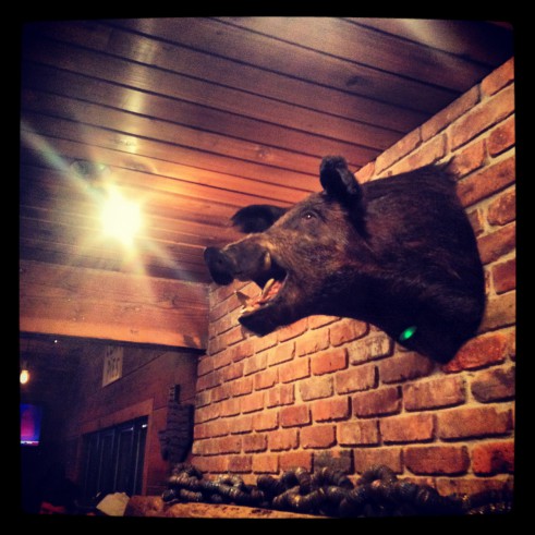 Boris, the Townline BBQ boar.