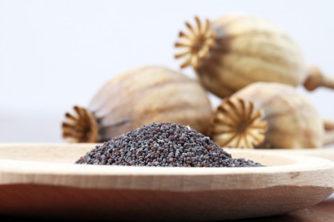 Opium Poppy Seeds