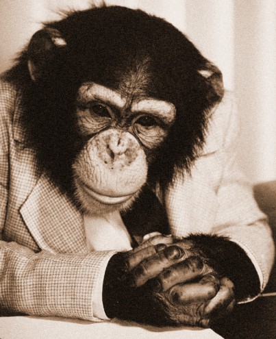 Derwood Hodgegrass' pet chimp Marty during happier time