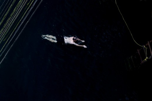 Swim Photo © Copyright Francine Fleischer, 2014. All Rights Reserved