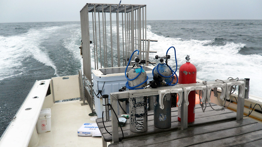 The Sea Turtle is a lobster boat outfitted for diving