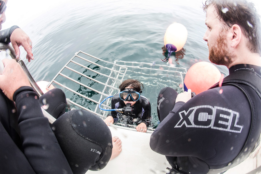 Oliver Peterson, right, prepares to enter the shark cage