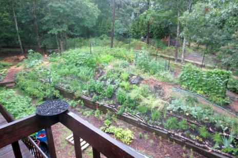 The grounds at Sweet Woodland Farm