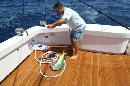 a the 2015 55-foot Viking Convertible “Dealers Choice.” Photo credit: Cully/EEFAS